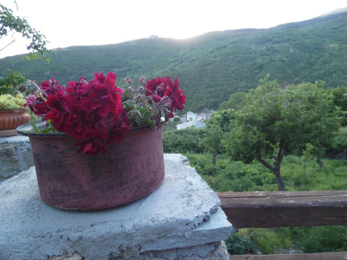 Villa Efrosini Dhrákia Esterno foto